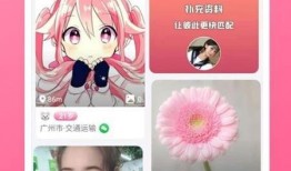 奥特最新爆料网站下载安装,揭秘神秘网站下载安装全过程