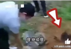 逃生最新爆料视频大全集,惊险瞬间，生死时速！