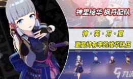 枫丹最新爆料角色是谁啊,神秘角色惊艳登场，揭秘全新角色身份之谜