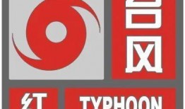 海口头条最新爆料,揭秘重大事件背后真相