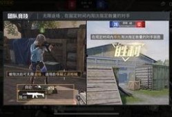 和平精英最新视频爆料,视频爆料揭示游戏全新玩法与升级