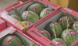 吃瓜福利爆料最新,吃瓜福利爆料，明星幕后故事大公开！