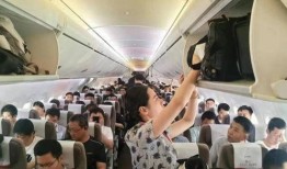 深航空姐最新爆料,内部细节与不为人知的幕后故事